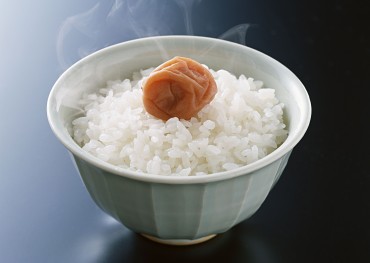 盛饭小达人3